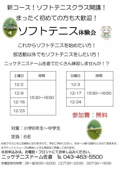 ソフトおためしレッスン(佐倉)